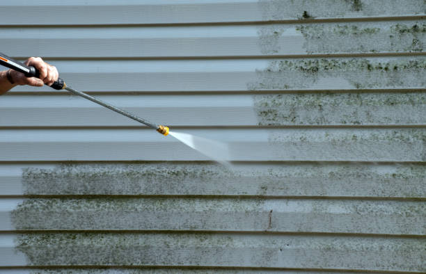 Best Attic Mold Removal  in Oostburg, WI