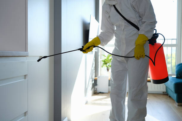 Best Emergency Mold Removal  in Oostburg, WI