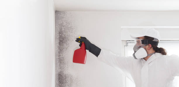 Best Residential Mold Removal  in Oostburg, WI